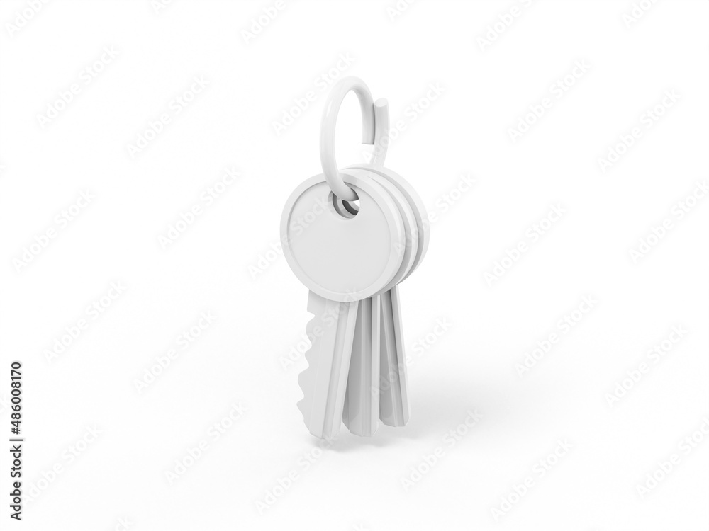 White single color bunch of keys on a white monochrome background. Minimalistic design object. 3d rendering icon ui ux interface element. White single color bunch of keys on a white monochrome background. Minimalistic design object. 3d rendering icon ui ux interface element.