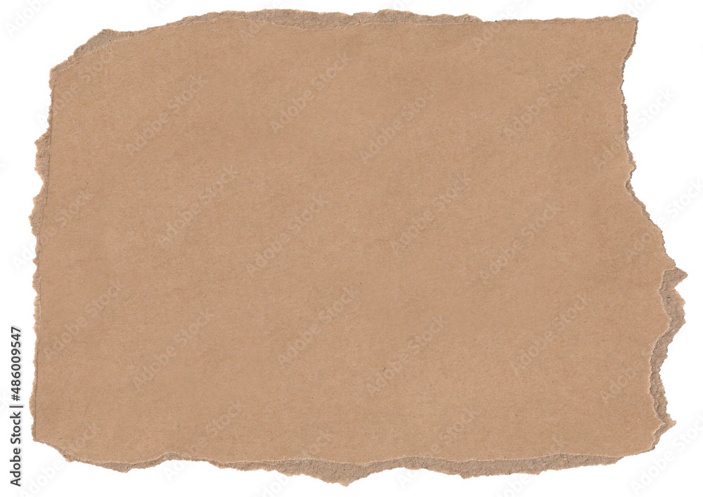 Brown ripped paper background