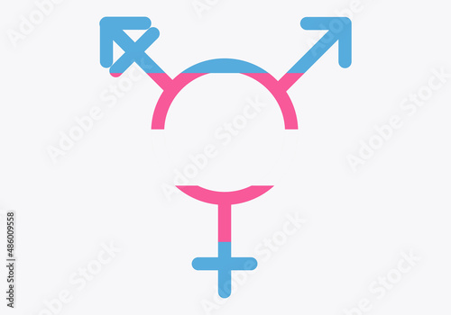 Icono de una persona transgénero con bandera.