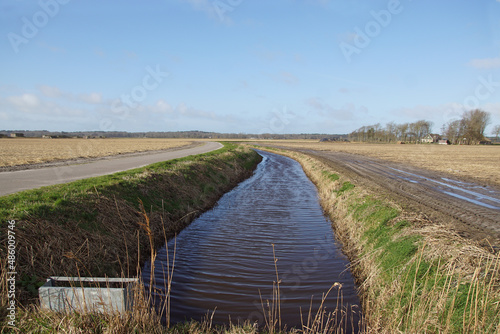 Ditch and bulb field in winter covered with straw to protect the bulbs from frost  tractor tire tracks. Narrow road to farms. Dunes in the distance. Netherlands  February