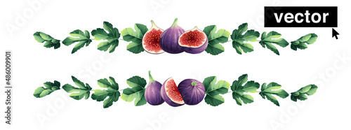Hand-drawn line borders made of sweet juicy figs. Realistic vector-style illustration. Mediterranean design elements.