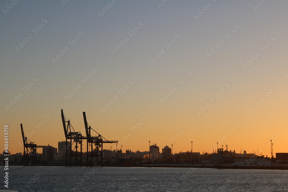Cranes in silhouette