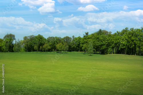 Fototapeta Naklejka Na Ścianę i Meble -  Beautiful view of park with green grass on sunny day