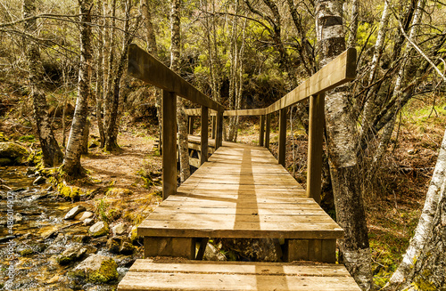Wooden footbridge next to Teixedelo stream in El Tejedelo forest, Teixedelo, in Requejo de Sanabria in spring, Sanabria area, Zamora, Spain. photo