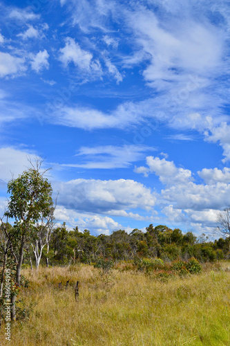 A view along Chifley Drive near Clarence  NSW