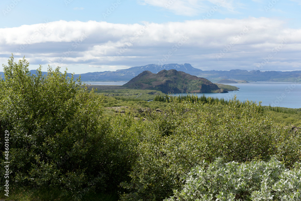 Fototapeta premium Vegetagion auf Lavafeldern und der See Thingvallavatn im Nationalpark Thingvellir in Island