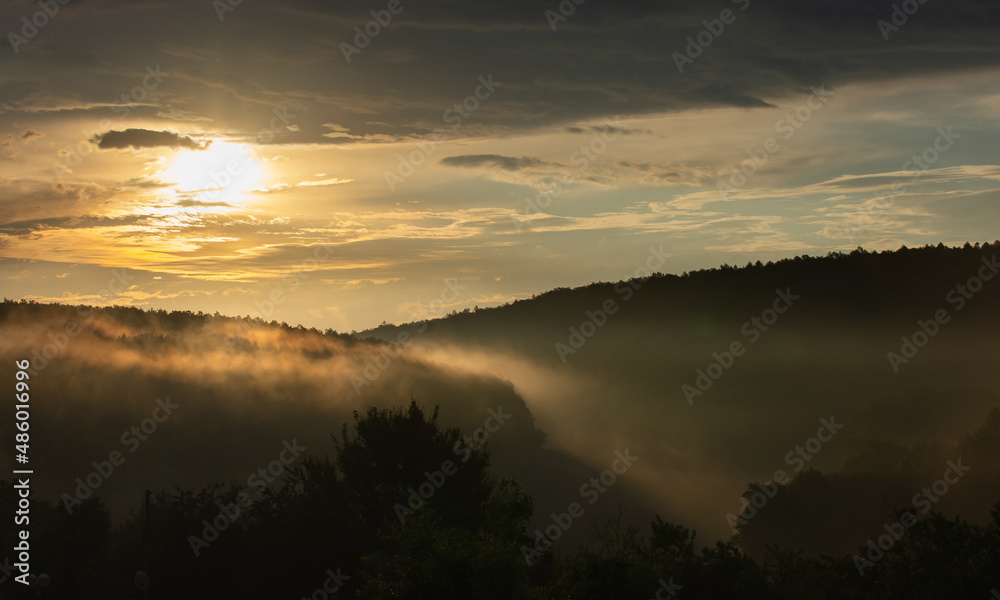 Fototapeta premium frosty landscape