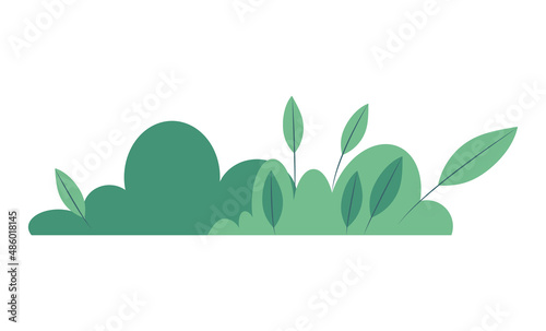 Isolated flat vector illustration green bush.