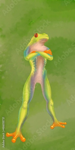 Frog on a green background.