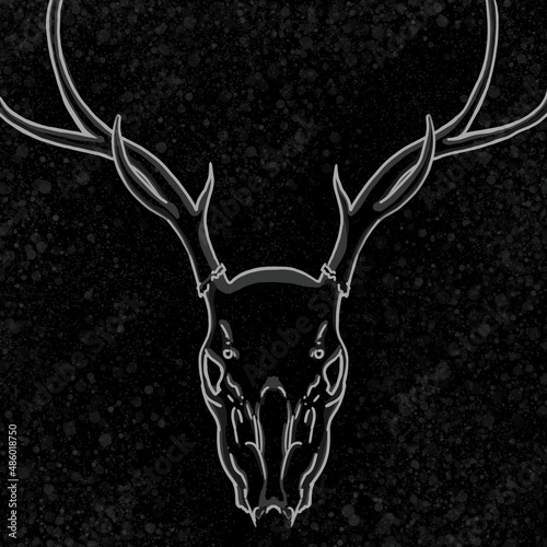 Skull on black background. Deer skeleton.