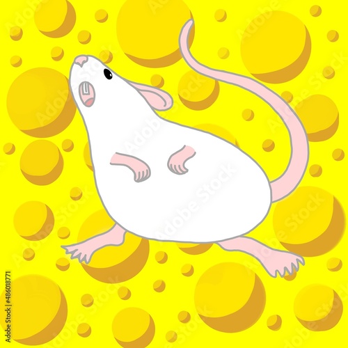 Funny rat on a background of cheese. White rat. Cartoon. Cheese background.