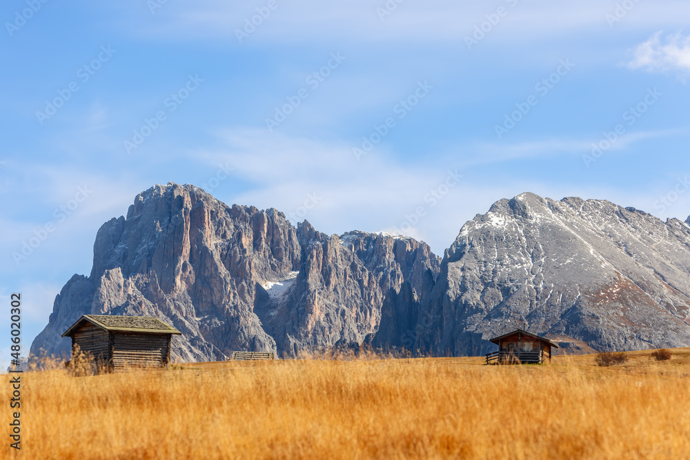 Seiser Alm plateau in autumn with a view of Langkofel Group mountains (Sassolungo and Sassopiatto)