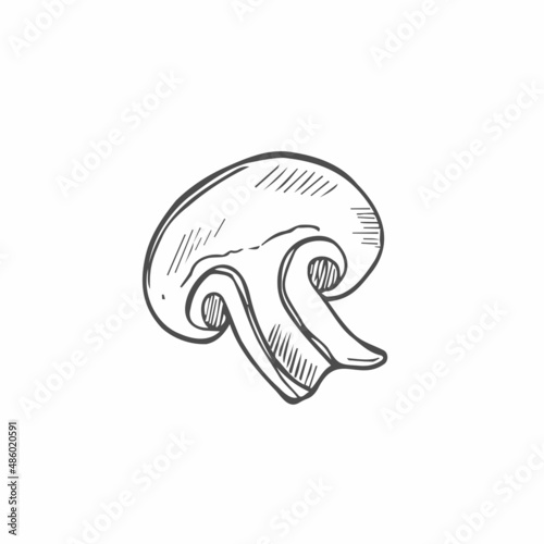 Doodle Champignon mushrooms sketch. Vector illustration isolated on white