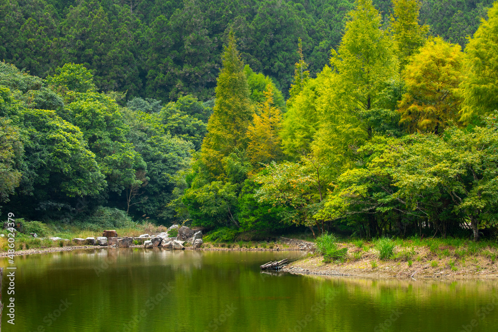Taiwan, Yilan County, forest, mountain lake, Mingchi, famous, tourist attraction Taiwan, Yilan County, forest, mountain lake, Mingchi, famous, tourist attraction
