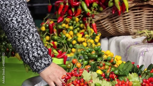 woman arranging chili peppers at a farmers' market stand