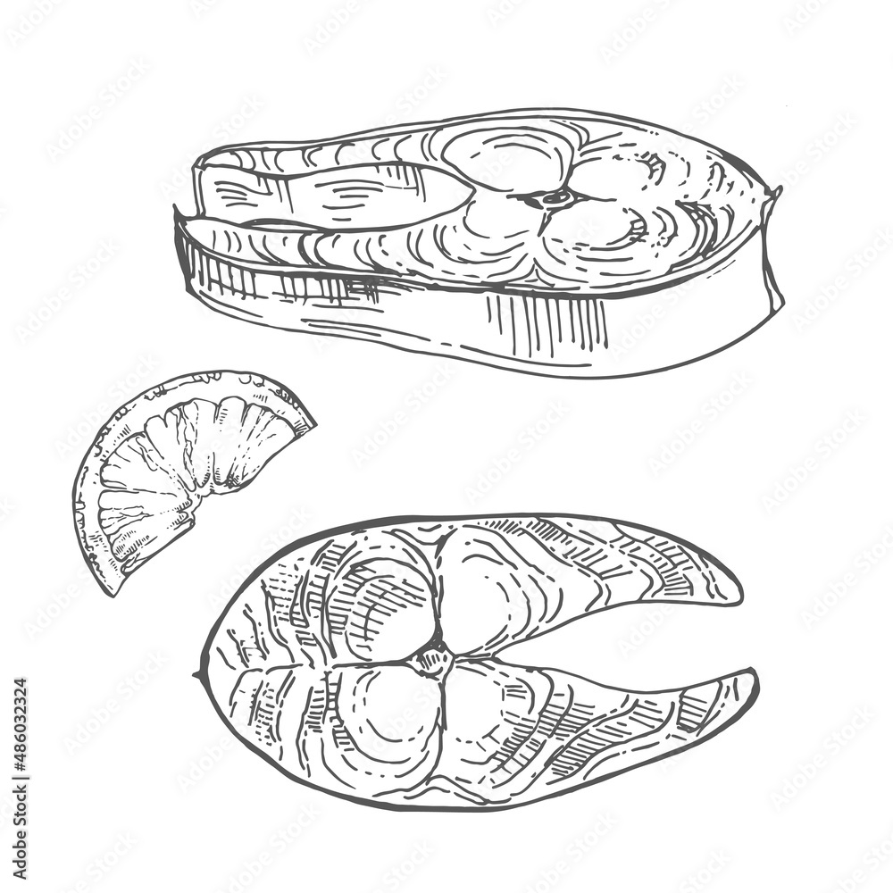 Hand drawn vector fresh fish steak illustration Hand drawn vector fresh fish steak illustration