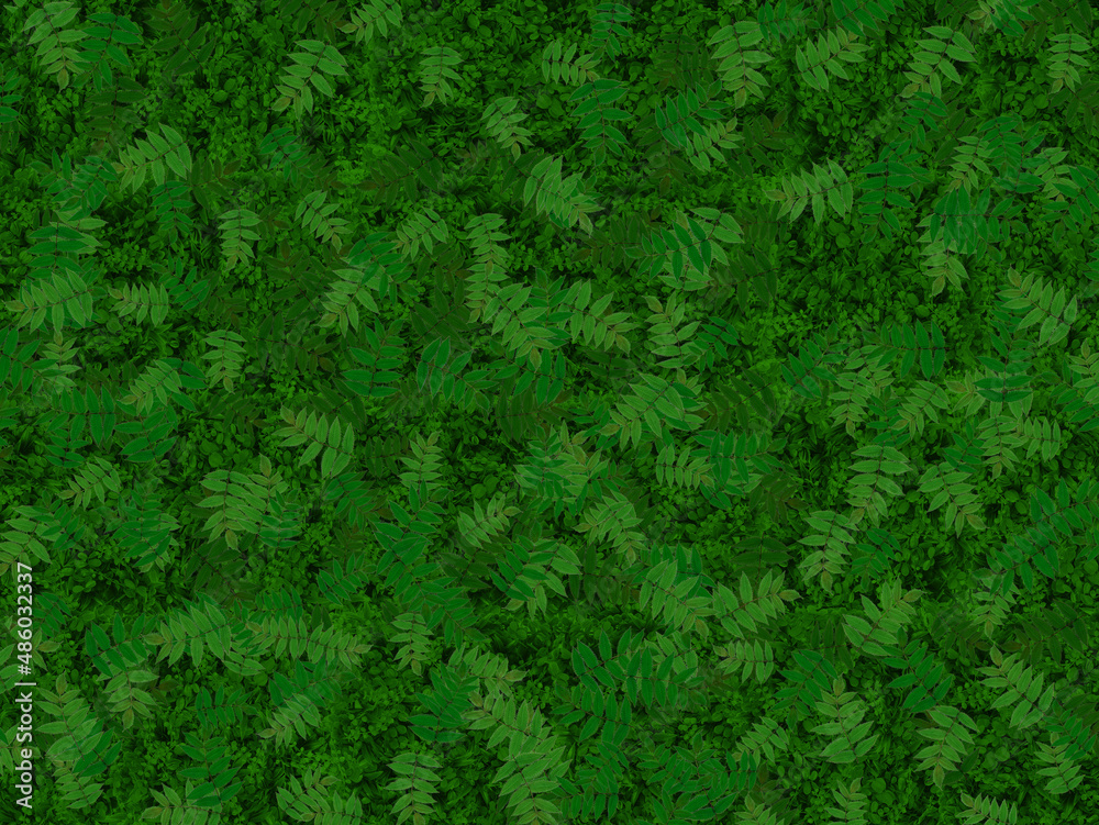 Forest glade with fresh fern leaves. Green background in eco style. Forest glade with fresh fern leaves. Green background in eco style.