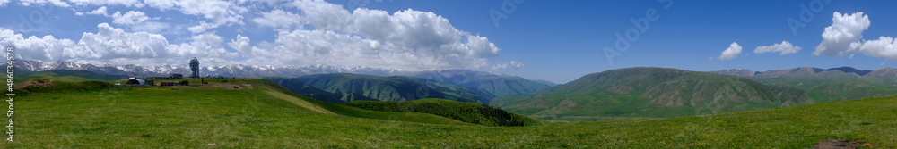 Blooming flowers on Assy plateau with observatory dome on background. Spring in Tien-shan mountains.