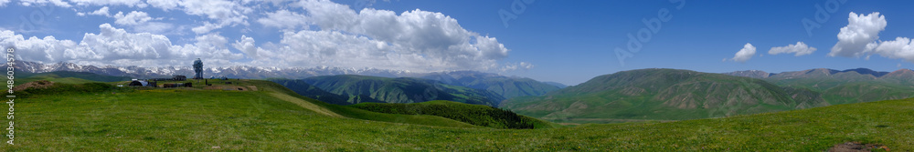 Fototapeta premium Blooming flowers on Assy plateau with observatory dome on background. Spring in Tien-shan mountains.
