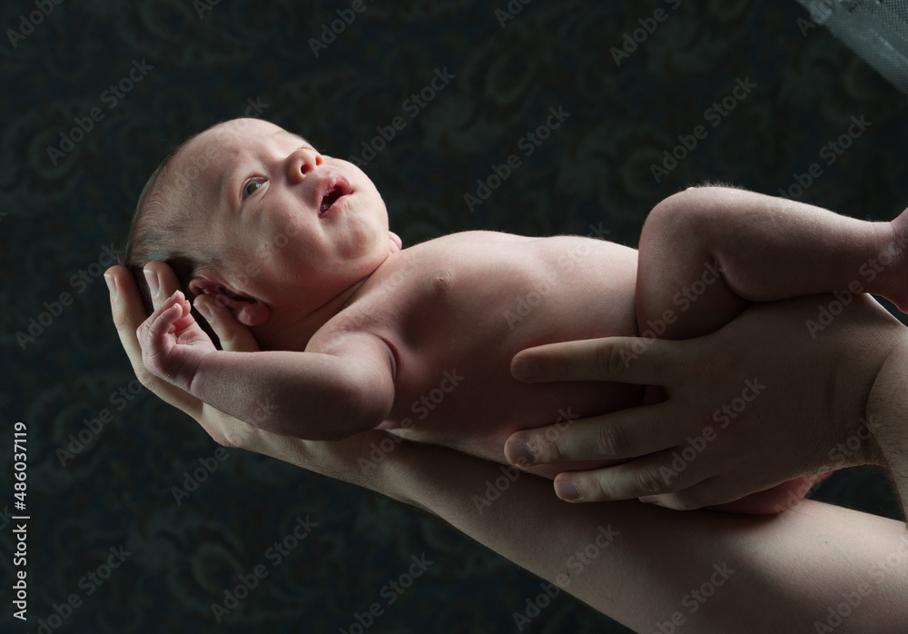 Newborn baby in arms , high quality photo