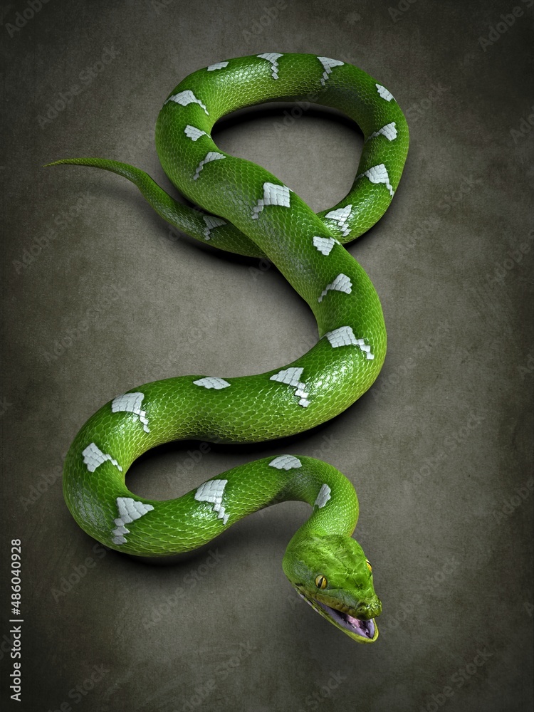 Naklejka premium Python close-up. 3d illustration