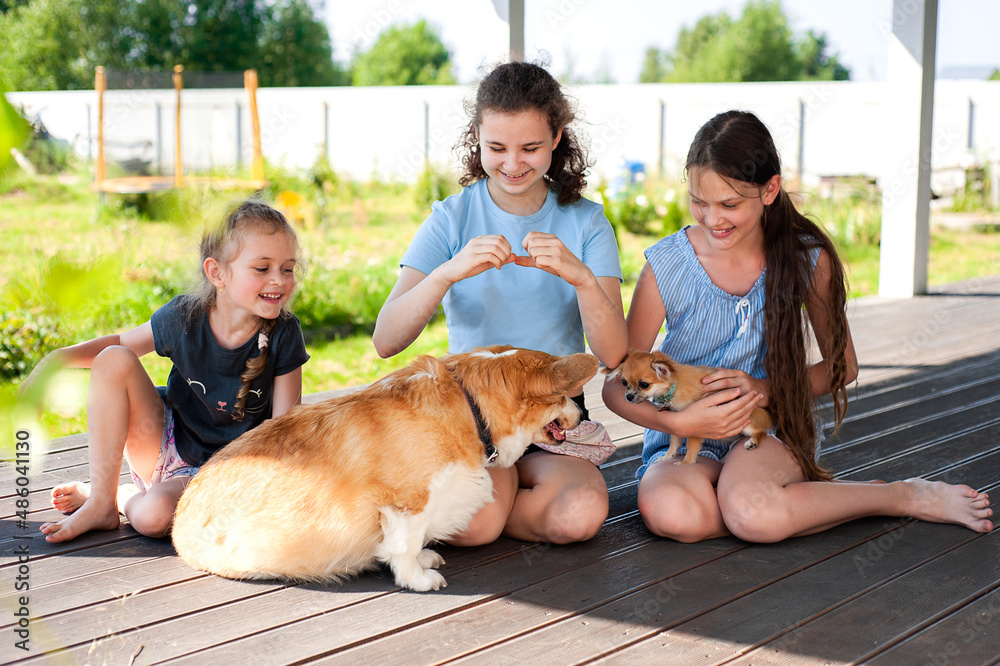 Φωτογραφία Three cute girls play with corgi and chihuahua dogs in the backyard in summer