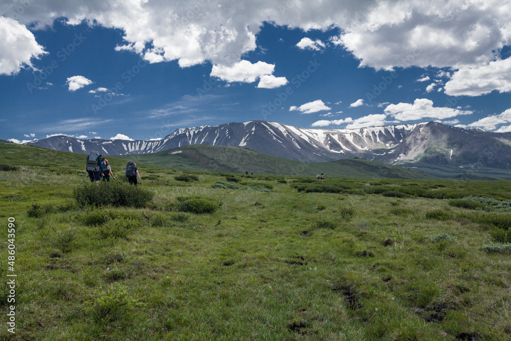 a small group of tourists goes off into the distance along an alpine meadow against the background of the Altai mountains