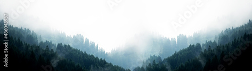 Amazing mystical rising fog forest trees firs landscape in black forest ( Schwarzwald ) Germany panorama banner view - dark mood