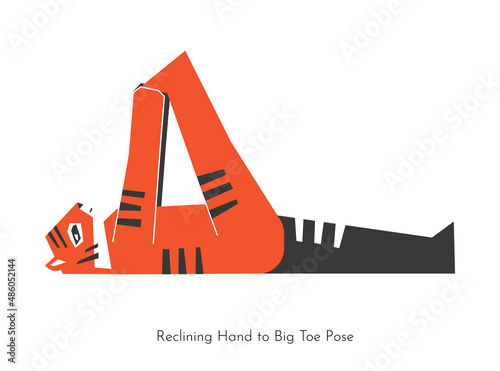 Vector concept with animal learning restorative yoga practice - Supta Padangusthasana. South China tiger does Reclining hand to big toe pose. Flat illustration of simple fitness exercise