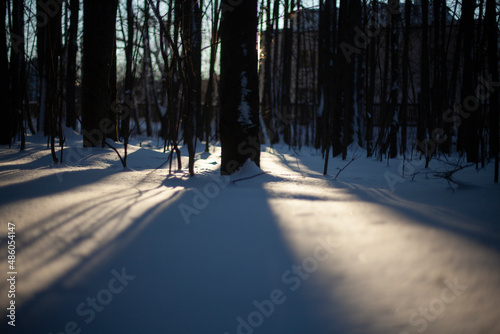 Snowy landscape. Shadows in snow, sun sets behind trees in winter.