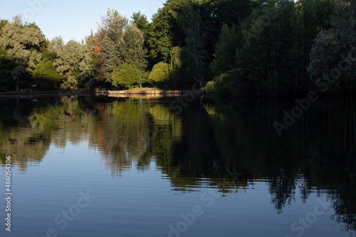 Lake in park. Pond in city. Surface of water.
