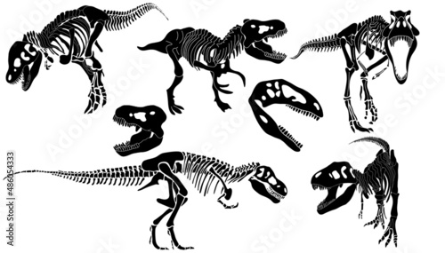 Graphic set of Theranosaurus skeletons isolated on white and white backgrounds. vector drawing
