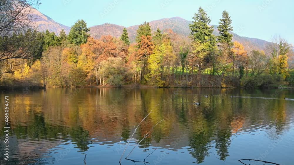 Calm Lake Preddvor in Slovenia on bright sunny day. Colorful autumn or fall season. Ducks in the water. Mountains in the background. Small pond with wild animals. Right pan, real time Calm Lake Preddvor in Slovenia on bright sunny day. Colorful autumn or fall season. Ducks in the water. Mountains in the background. Small pond with wild animals. Right pan, real time