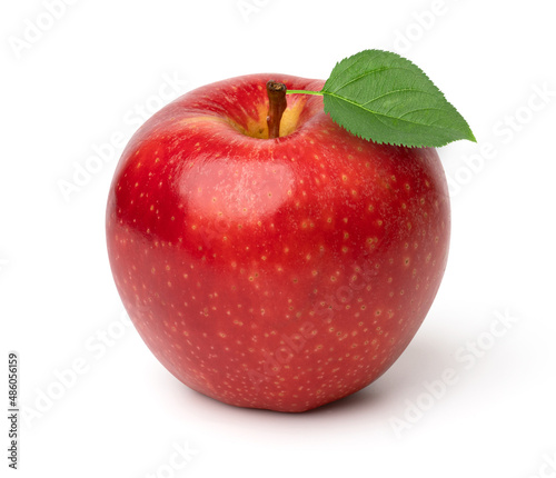 fresh red apple with leaves isolated on white background  cut out.