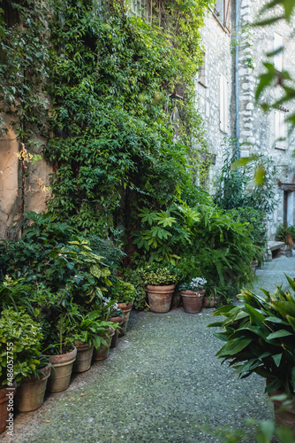 Lots of green plants on the street in Saint Paul de Vence  South of France