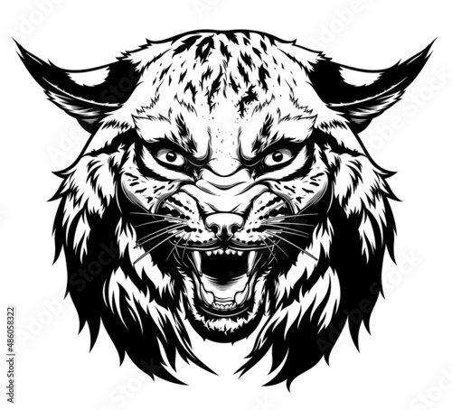Photography Angry bobcat head digital ink vector drawing.