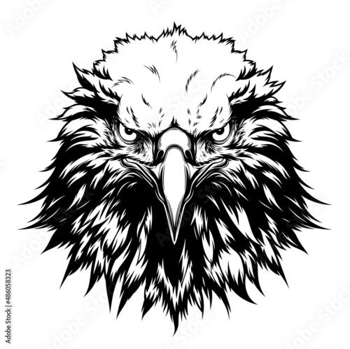 American bald eagle head digital ink vector illustration.