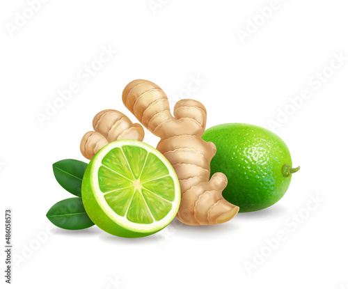 Ginger and lime. Root, green leaf and citrus fruit realistic. Tea or lemonade ingredient, alternative medicine, flu treatment