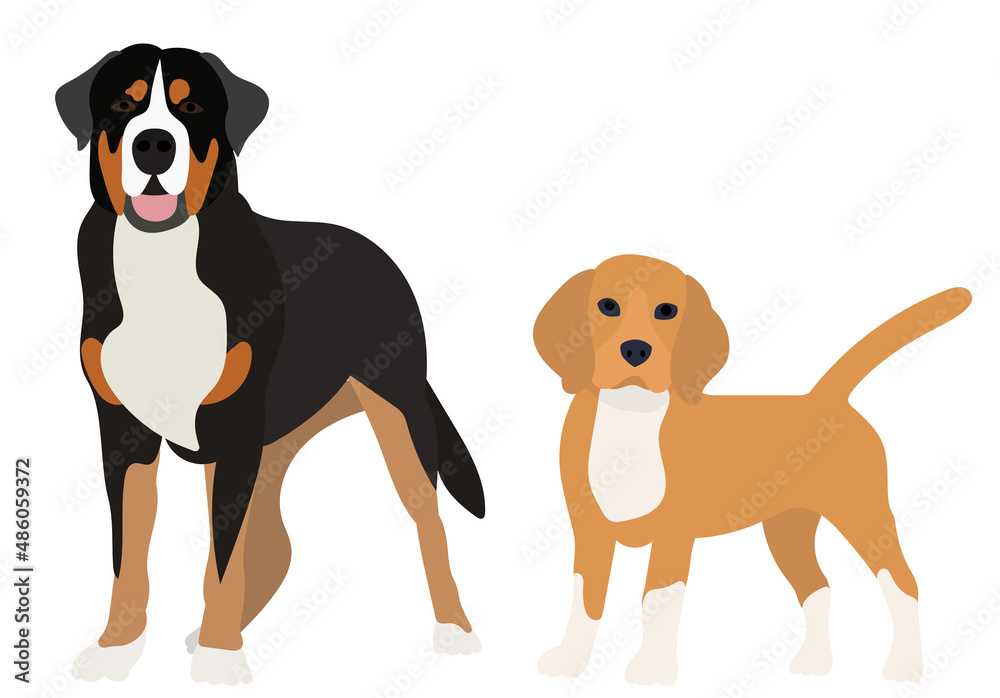dog flat design on white background dog flat design on white background