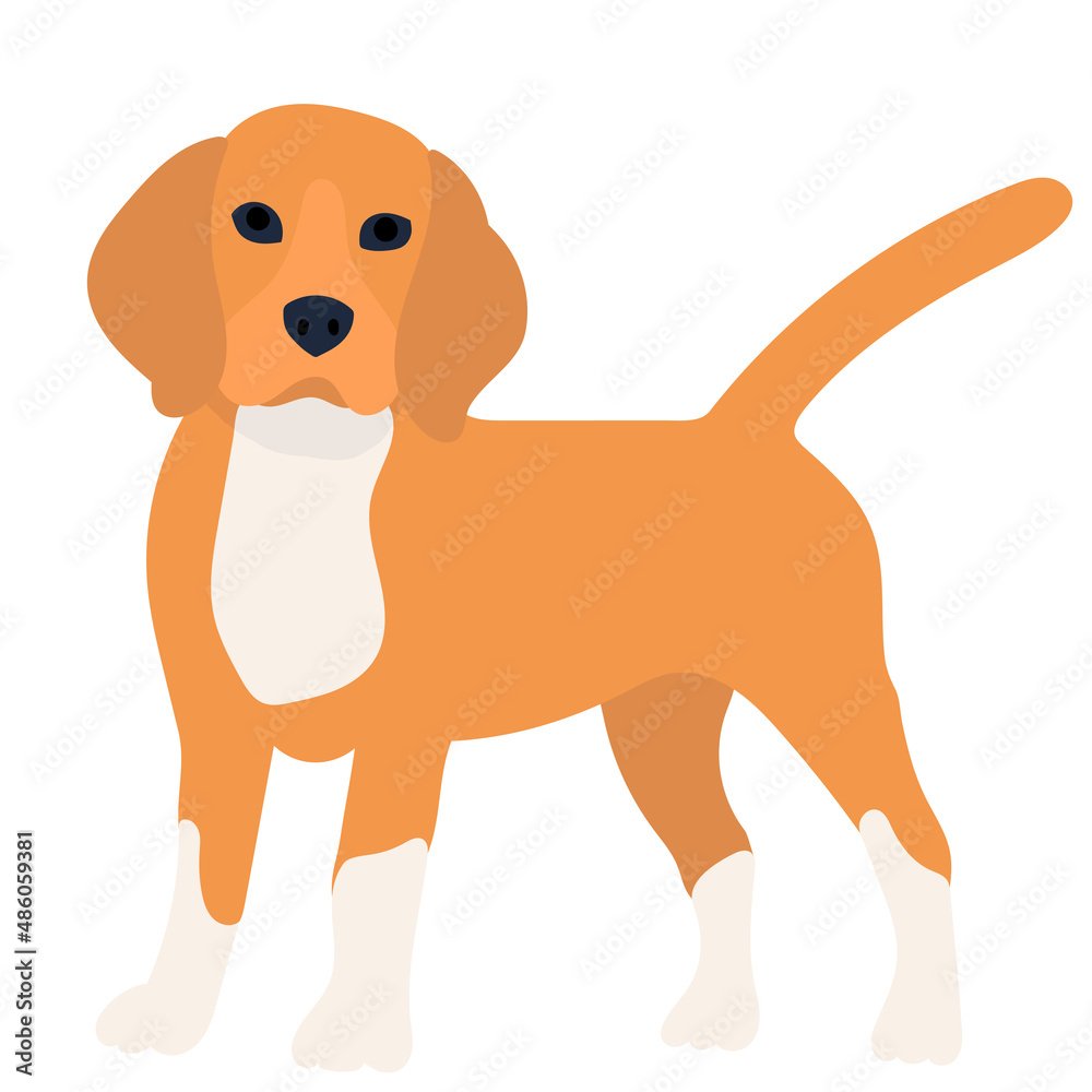 dog flat design on white background, vector