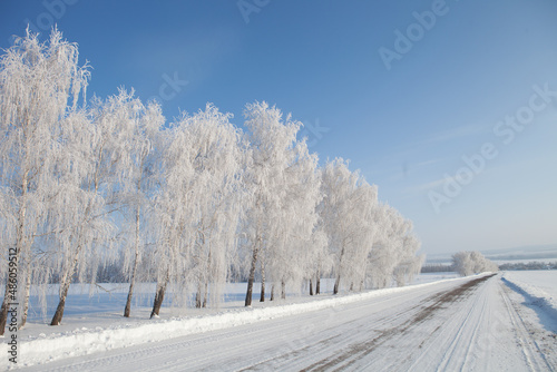 Winter road and branch of a tree in the snow against the blue sky. Frosty winter day - snowy branch © Alik Mulikov