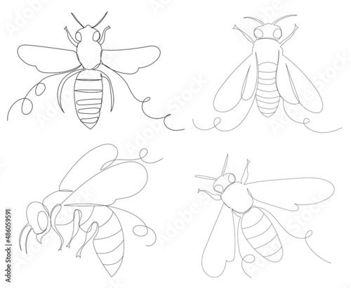 bees contour one line sketch vector