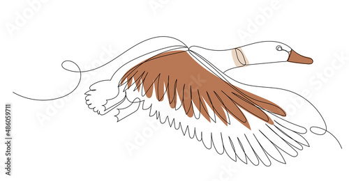 flying duck one line outline, vector sketch