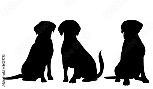 dogs sitting silhouette ,on white background, vector