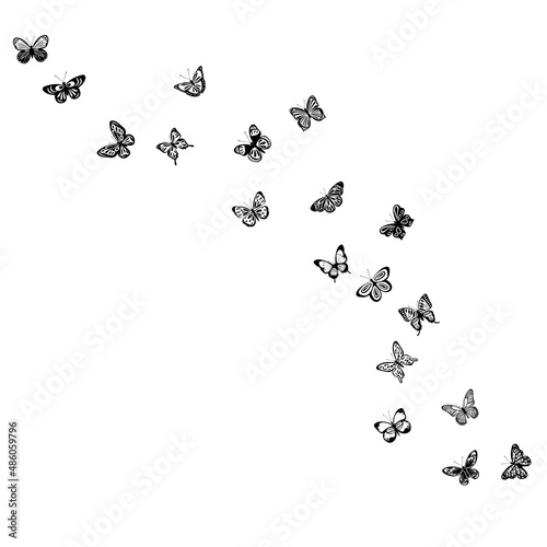 Runde Wanddeko fliegende Schmetterlinge Silhouette, auf weißem Hintergrund,  Vektor 