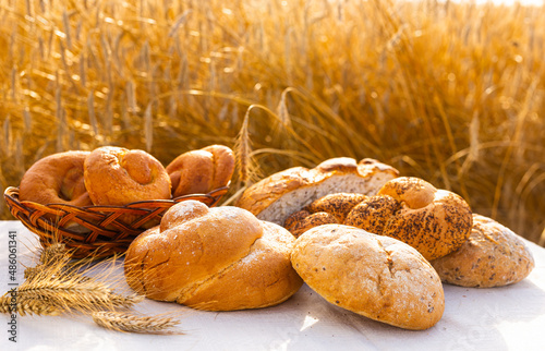 lot of different flavored bread, wheat, rye, on the table in the field outside