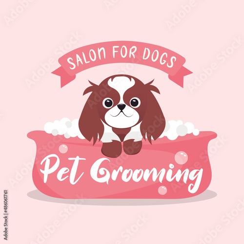 Banner and logo design for pet styling and care store, barbershop, pet shop for dogs and cats, website design. vector illustration