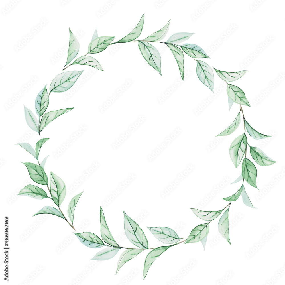 Round frame made of twigs of the Ruscus plant, painted in watercolor. Watercolor drawing of plants, isolated on white background, copy space. Simple floral wreath.