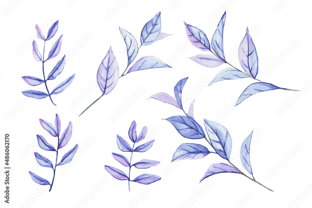 A set of sprigs of Ruscus and Pistacia plants, painted in watercolor and tinted in purple-pink. Exotic plants for floral bouquets and arrangements. Watercolor plants for decoration isolated on white.