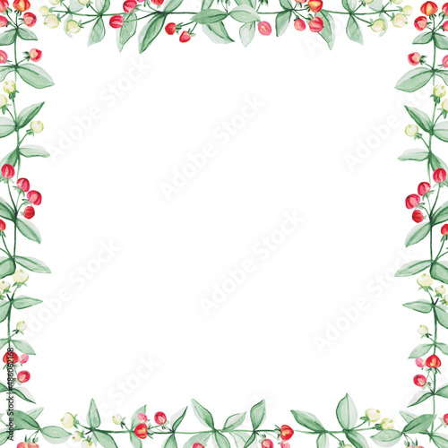 Square background with sprigs of a plant - Hupericum, painted in watercolor. Branches of a plant in the form of a square frame isolated on a white background, space for text. Simple floral background.